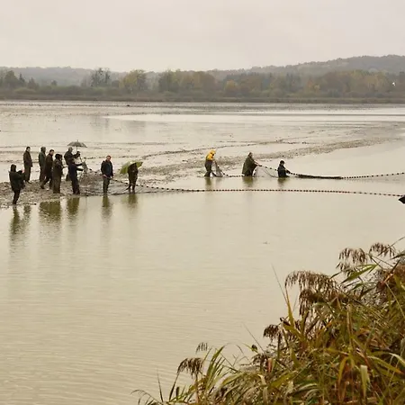 De L'etang