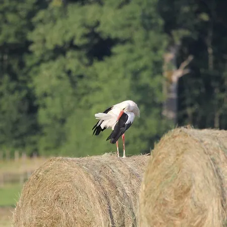 De L'etang بيت للعطل